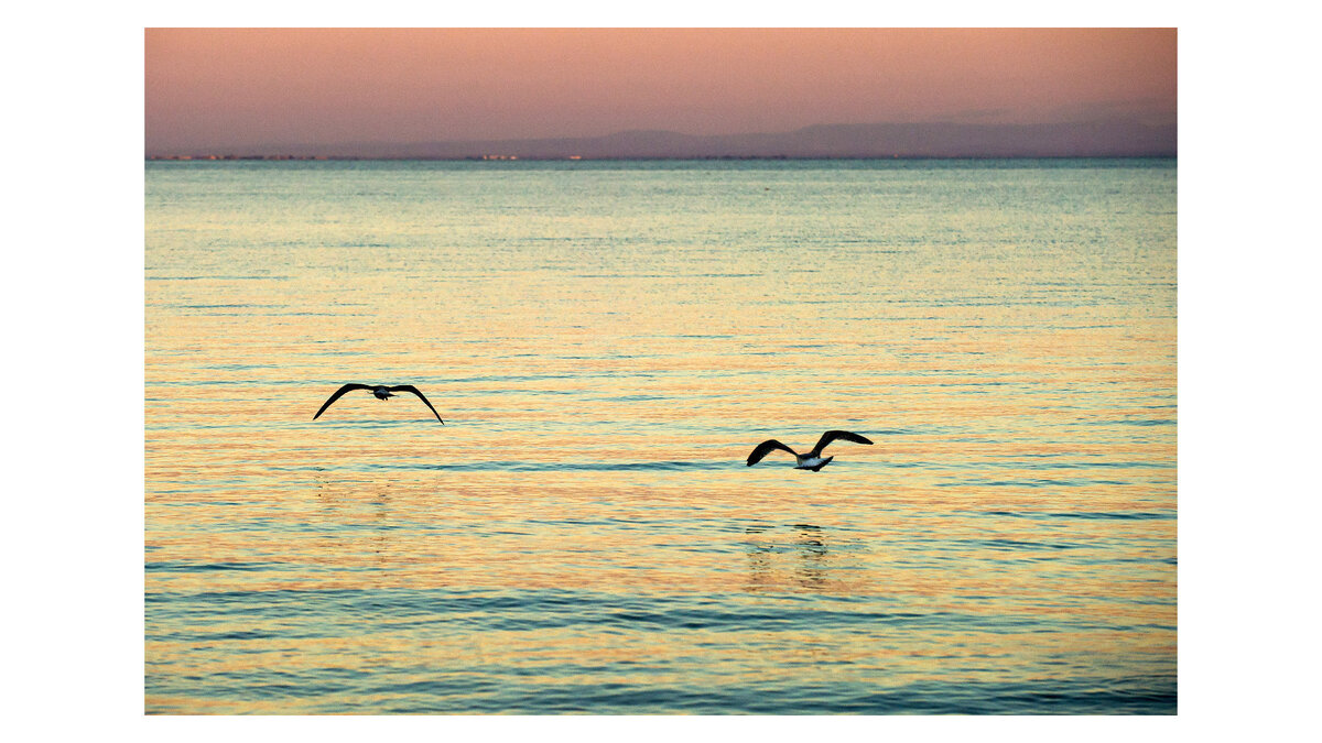    Черное море© РИА Новости . Сергей Мальгавко