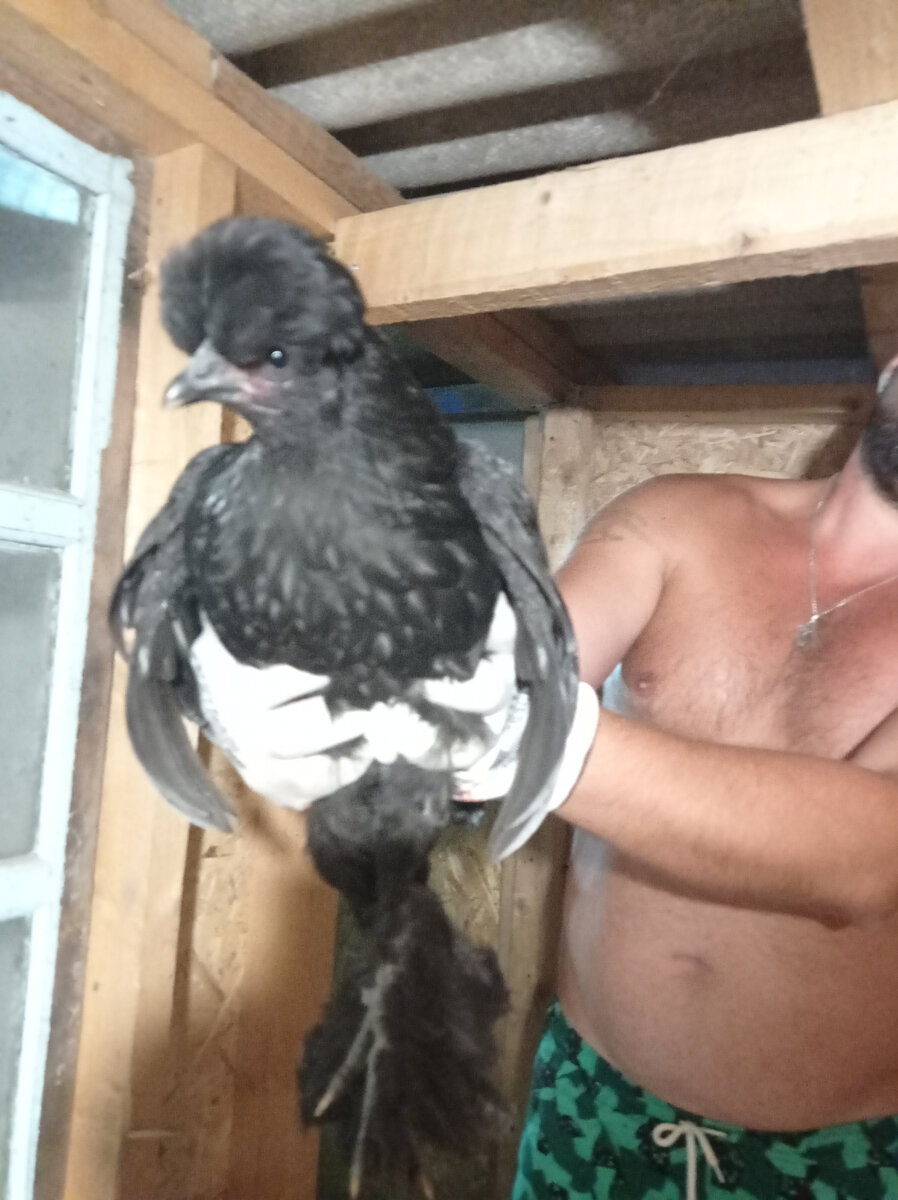 Ну красавчик же? 