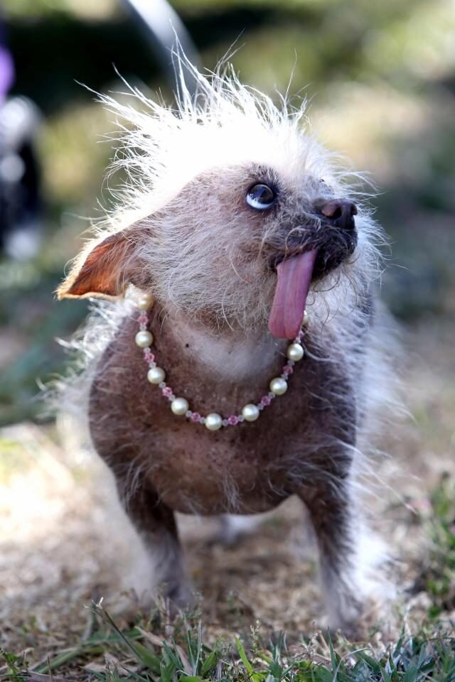 Фото из интернета