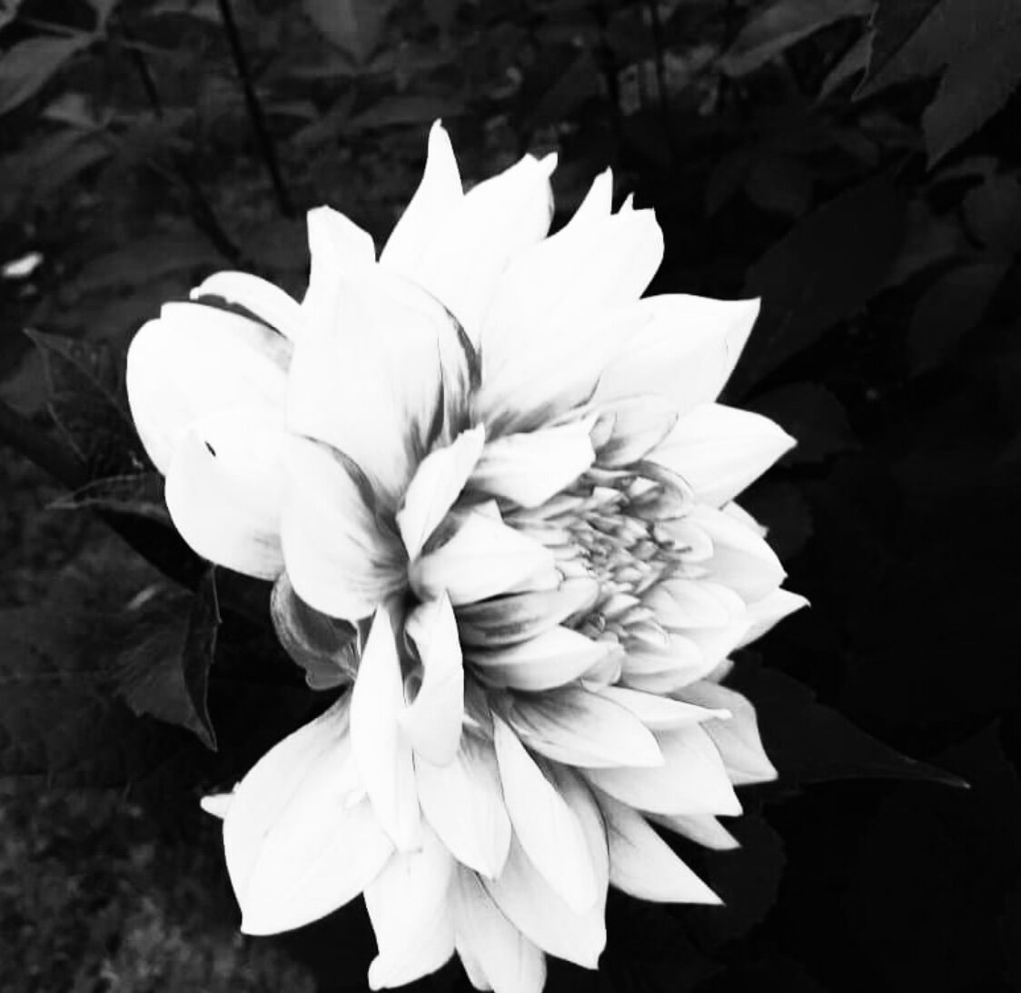 Все права на фото и стихотворение принадлежат автору. Запрещается копирование, распространение или любое иное использование информации и объектов авторского права без предварительного согласия правообладателя