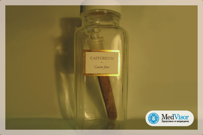 Designed by Maša Sinreih in Valentina Vivod/commons.wikimedia.org 