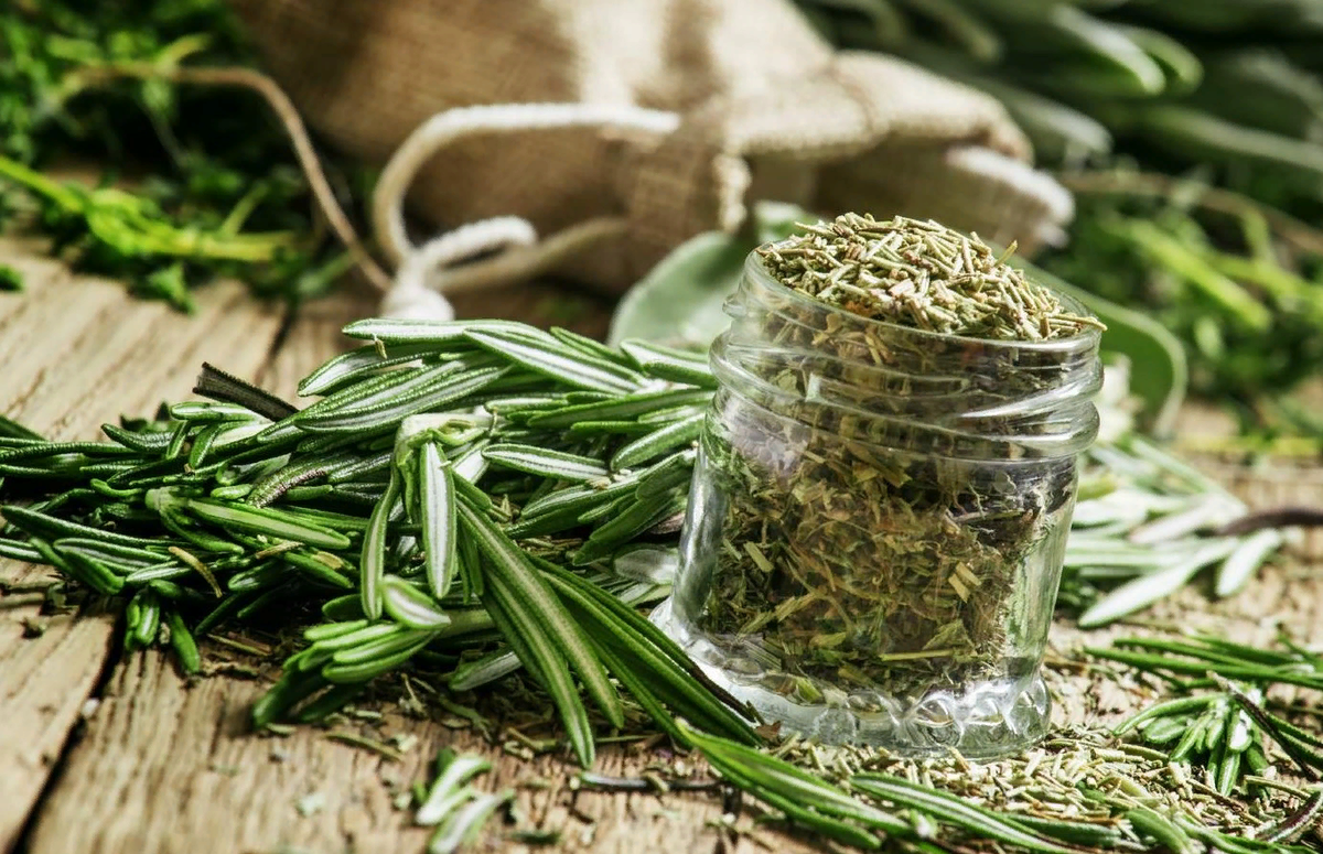 Источник: shutterstock.com