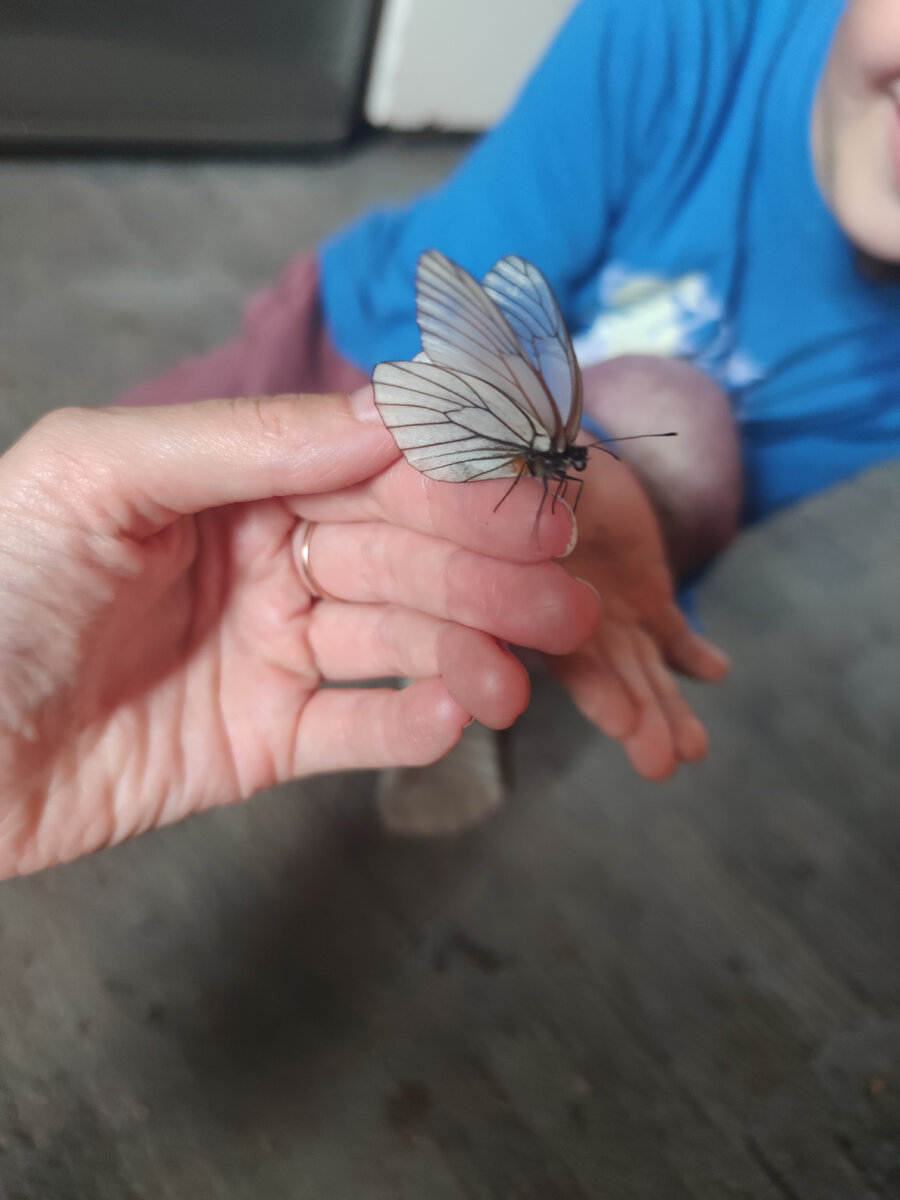 Для красоты