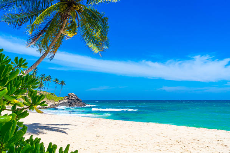 источник: istockphoto