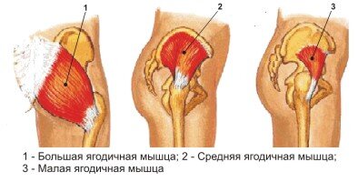 КАК НАКАЧАТЬ ПОПУ