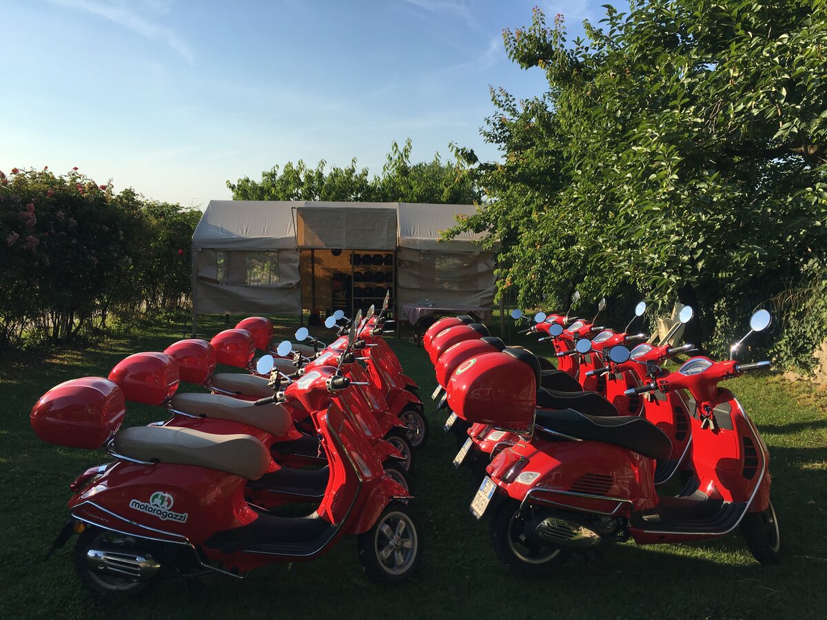 Это мои Веспы. Сейчас их 16, в следующем году будет 20.