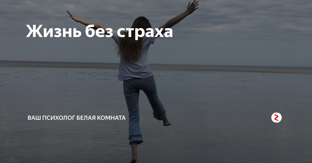 жизнь без страха синельников