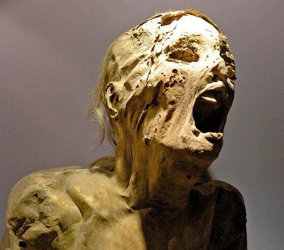 В Египте нашли жуткую кричащую мумию 