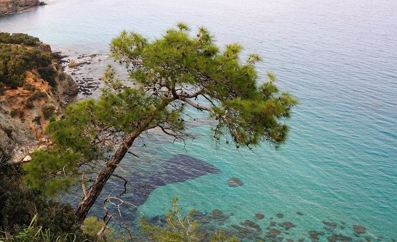 Акамас Beach Cyprus
