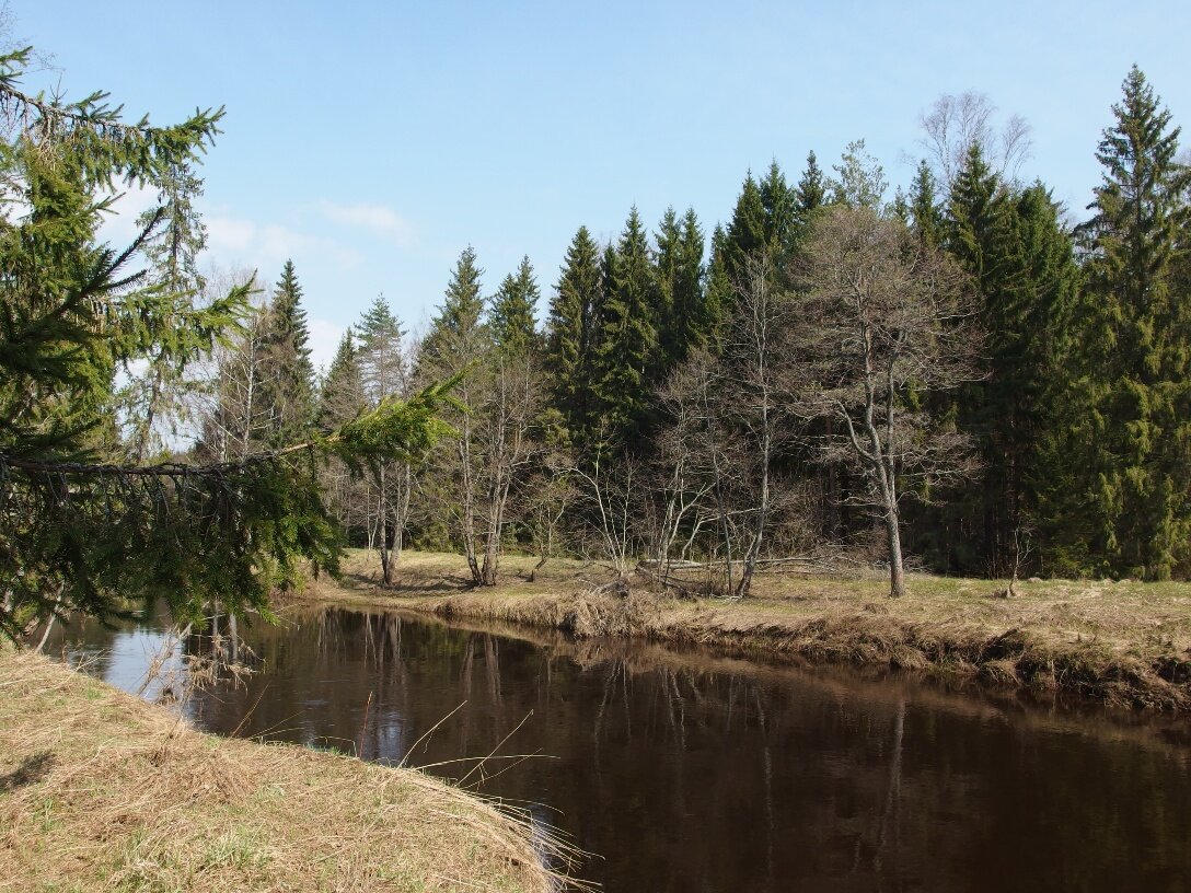 Река велеса