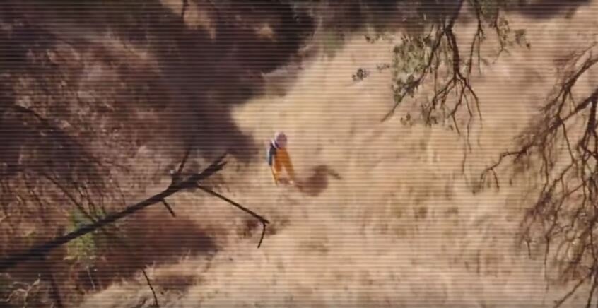 Кадры с видео. Ютуберы сидели напуганными на дереве