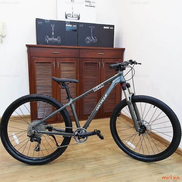 Xiaomi cheap qicycle xc650