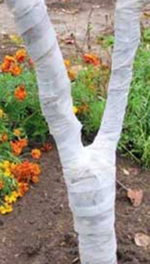 Бинт для деревьев. Бинт для деревьев. Бинт для деревьев. Бинт садовый эксперт. Бинт садовый для деревьев.