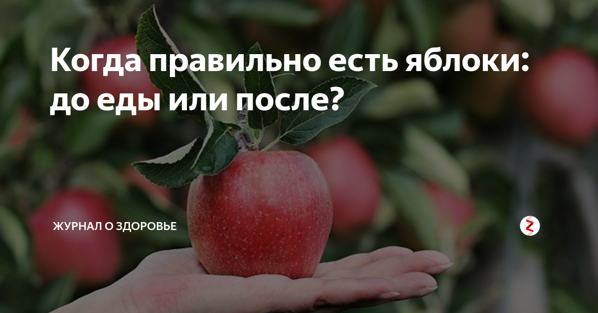 Как правильно есть яблоко. Как правильно кушать яблоко. когда лучше кушать яблоки. когда правильно есть яблоки. яблоки есть до или после еды.
