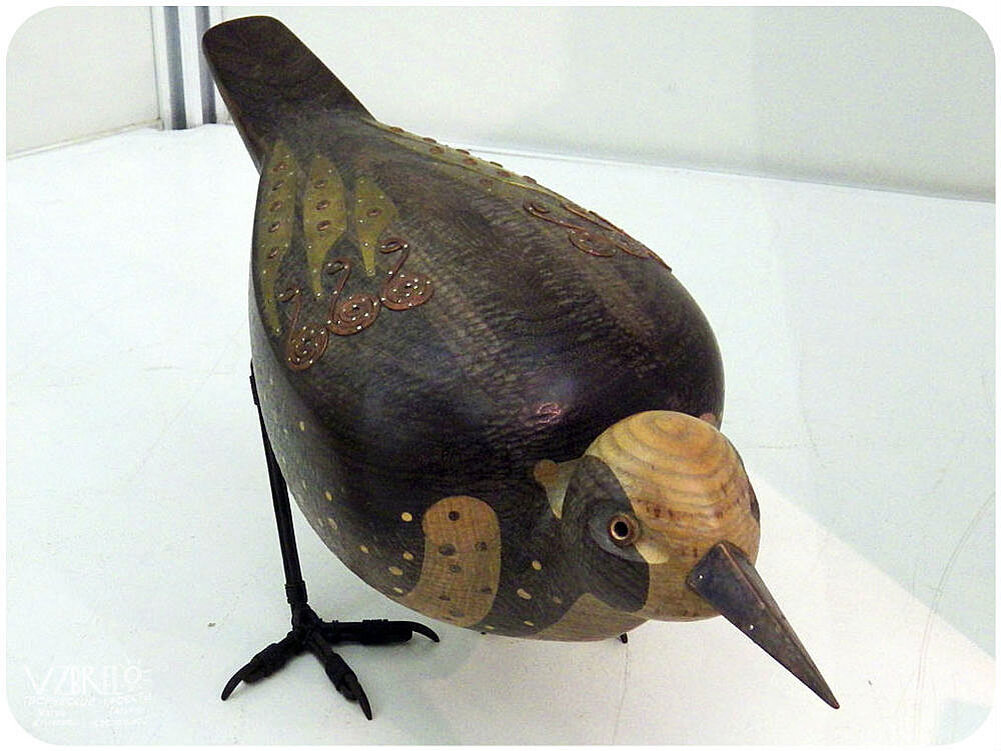 Работа Дмитрия Воронина в Тимирязевском музее.