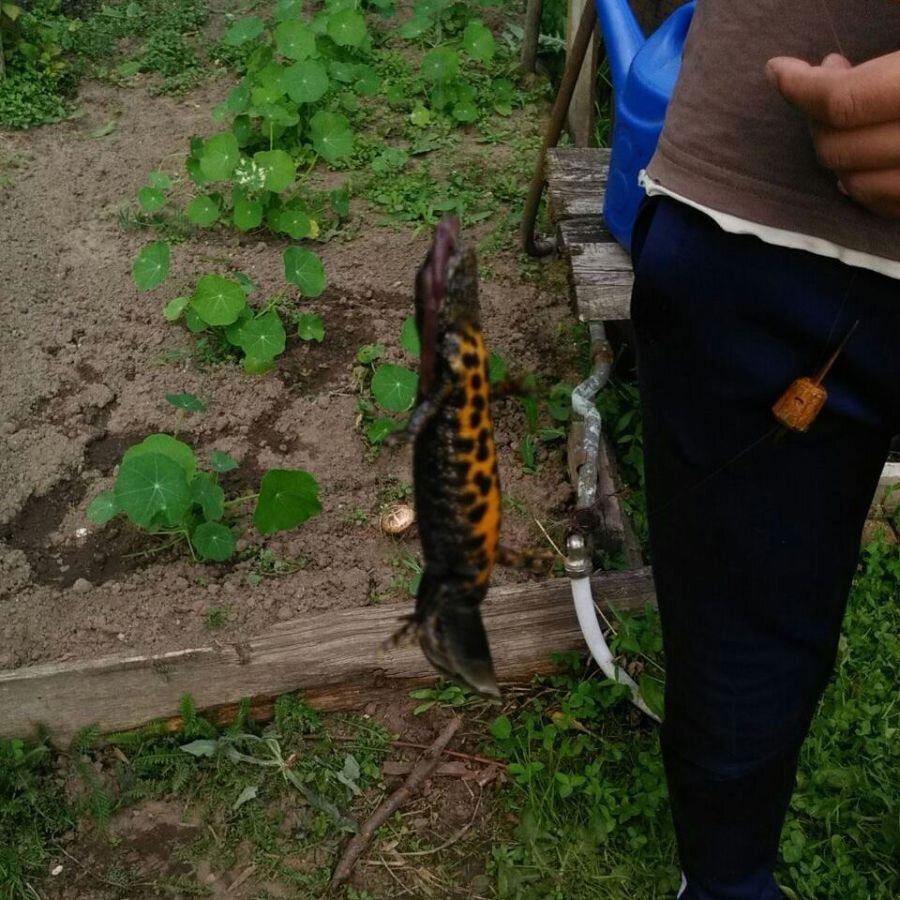  Фото: Юлия Шохина