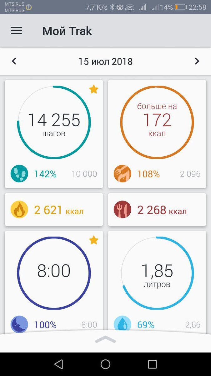 Мои результаты за сегодняшний день
