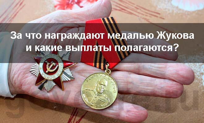 В число наград, учрежденных в новейшей истории России, входит медаль Жукова.