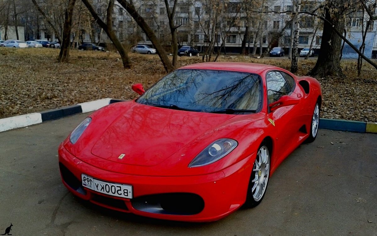 Фото с yandex.ru 