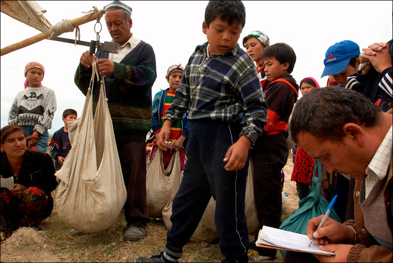 Процесс проверки, сколько хлопка дети успели собрать за полдня. Фото Thomas Grabka с сайта Lenta.ru
