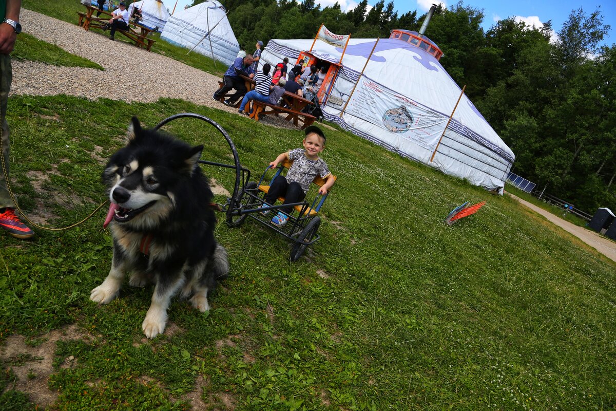 животные хотьково