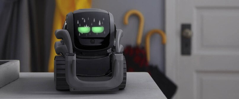 Kickstarter anki hot sale vector