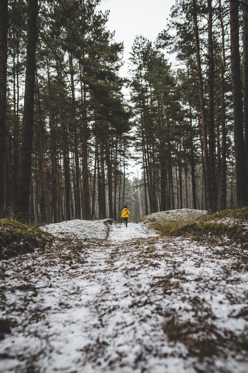 Photo by Madara Parma on Unsplash