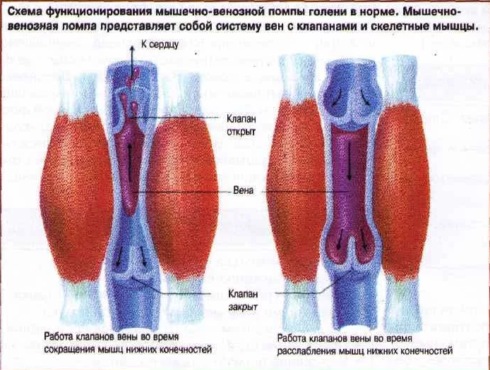 Кожевниковская межмуниципальная централизованная клубная система | Главная