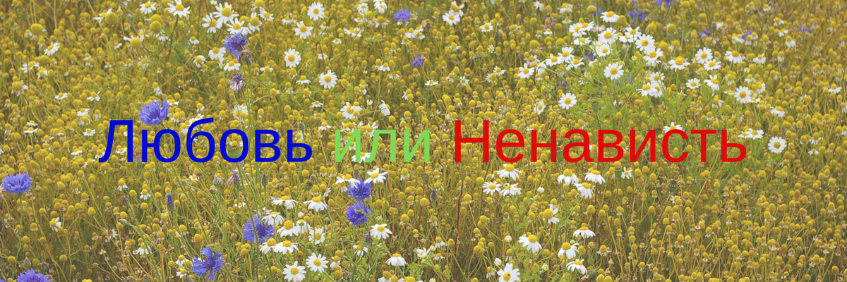 Любовь и ненависть одни из самых сильных чувств