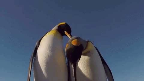 -3