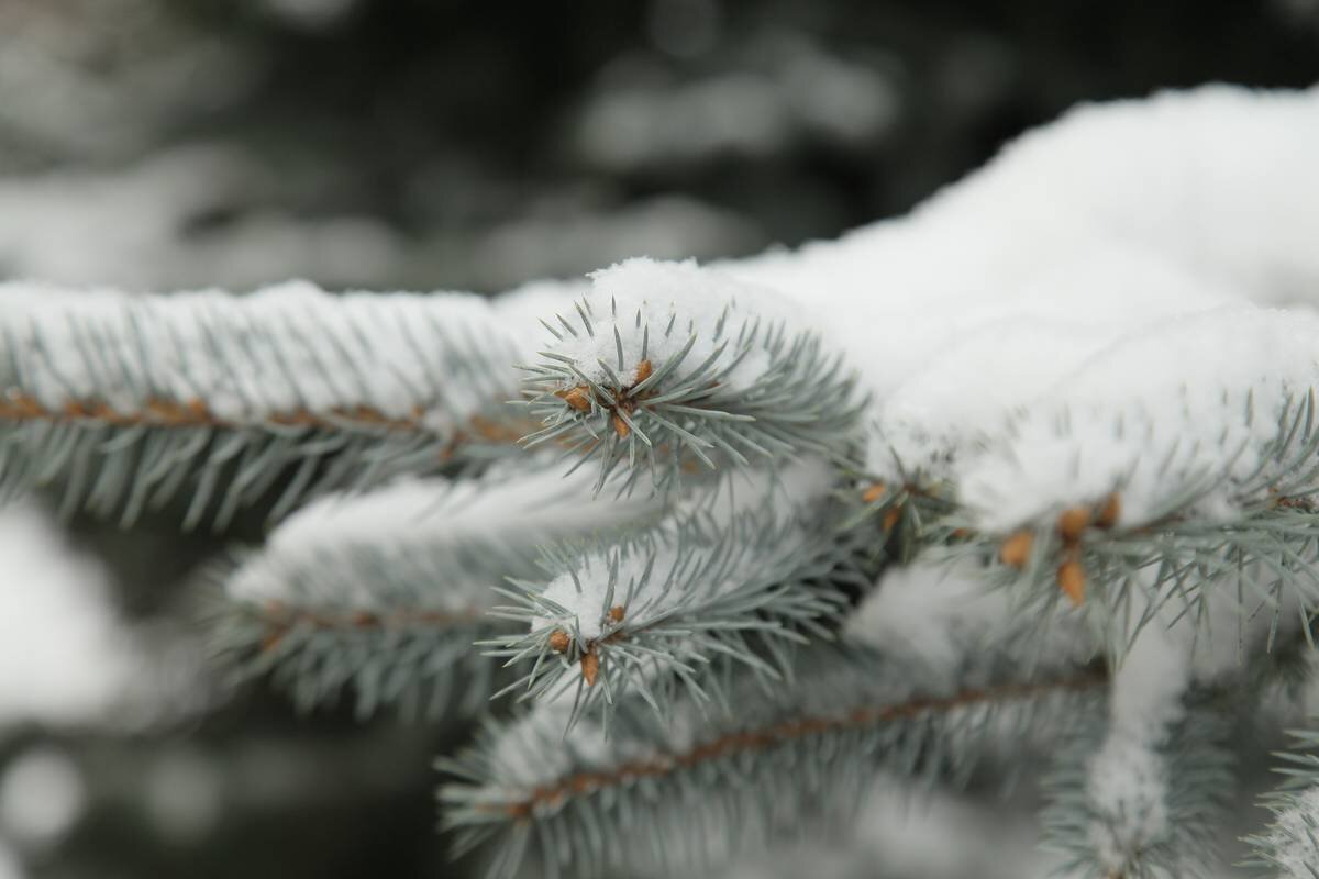 Фото: Андрей Абрамов