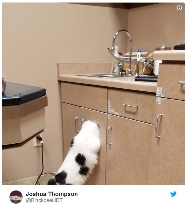 Источник: twitter.com