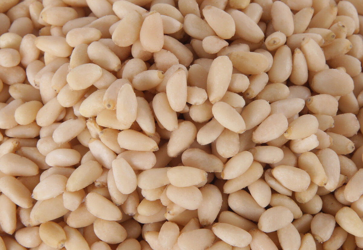 фото из портала www.фрутмаркет.рф