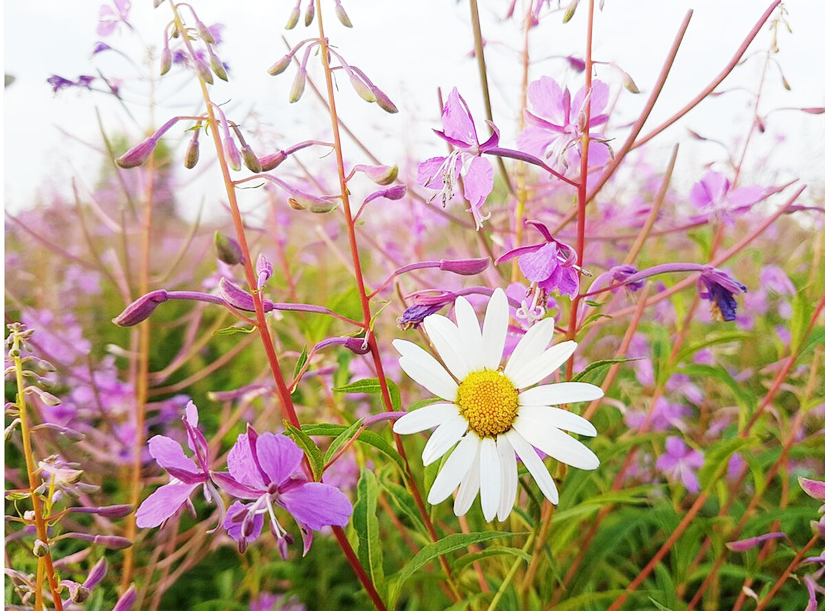 Фото взято из открытых источников. 
