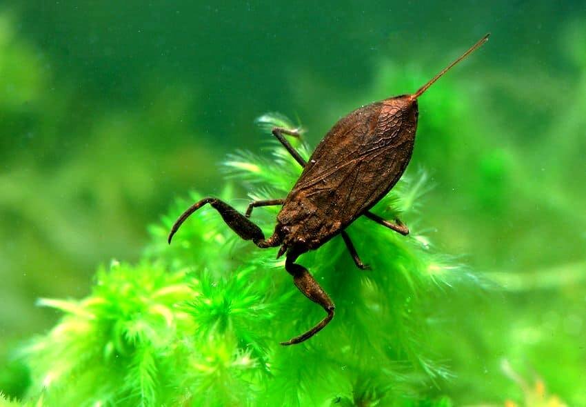 Фото/ Яндекс