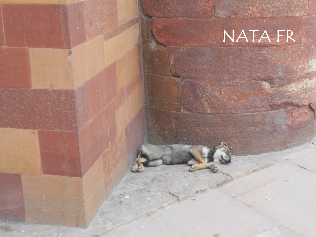 Фото из личного архива