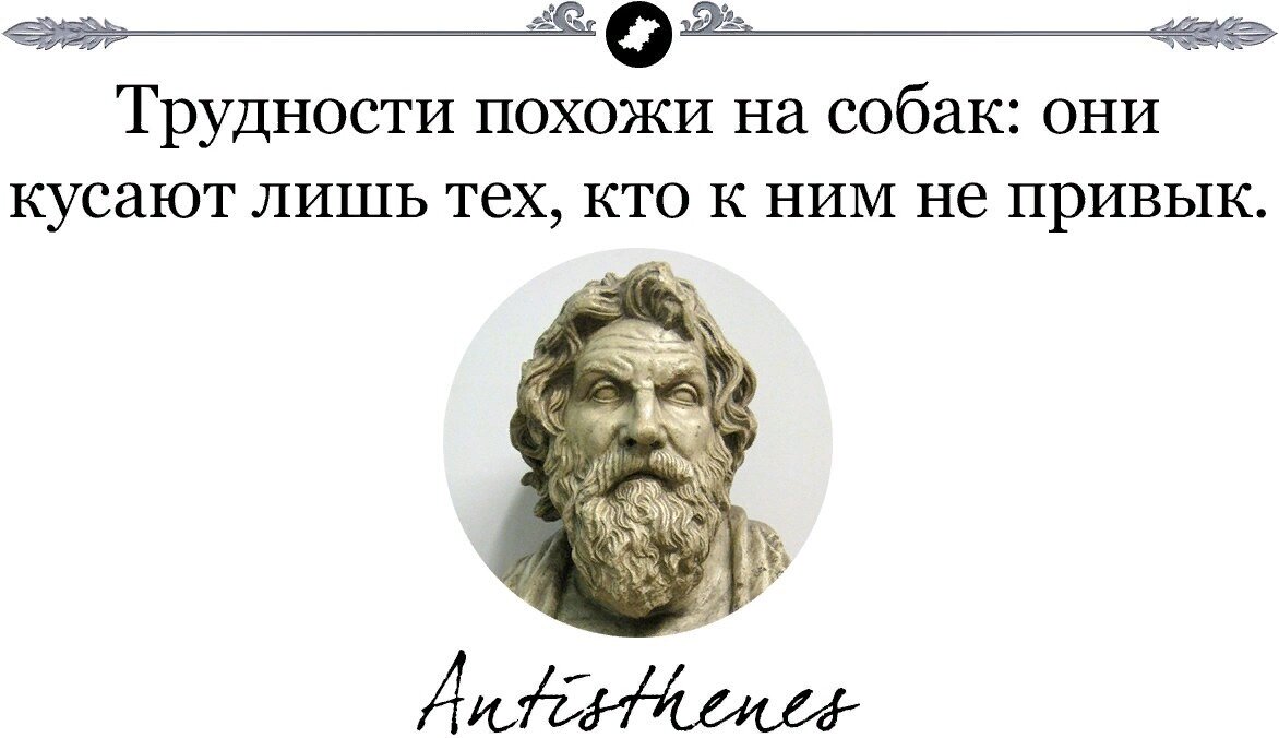 Сложность подобный. Высказывания Антисфена. Антисфен цитаты. Цитаты Антисфена и афоризмы. Трудности похожи на собак они кусают лишь тех кто к ним не привык.