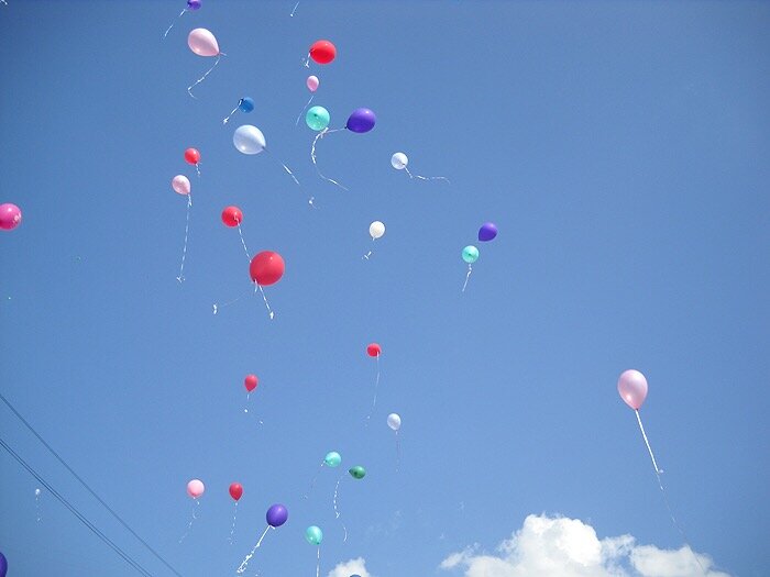 Шары улетели в небо. Шарики в небе. Воздушные шары в небе. Воздушные шары улетают. Надувные шары в небе.