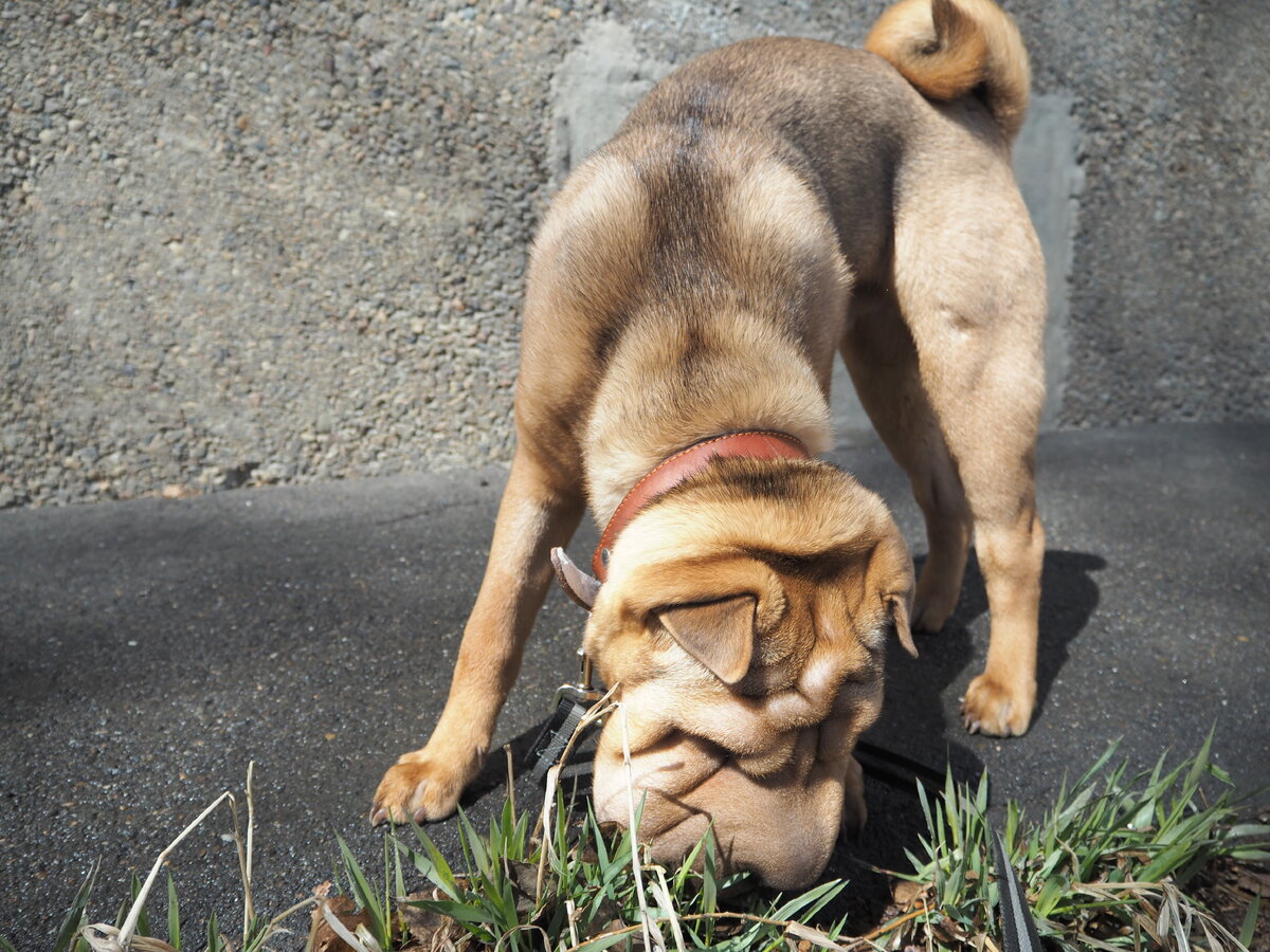 Ясон, 6 месяцев