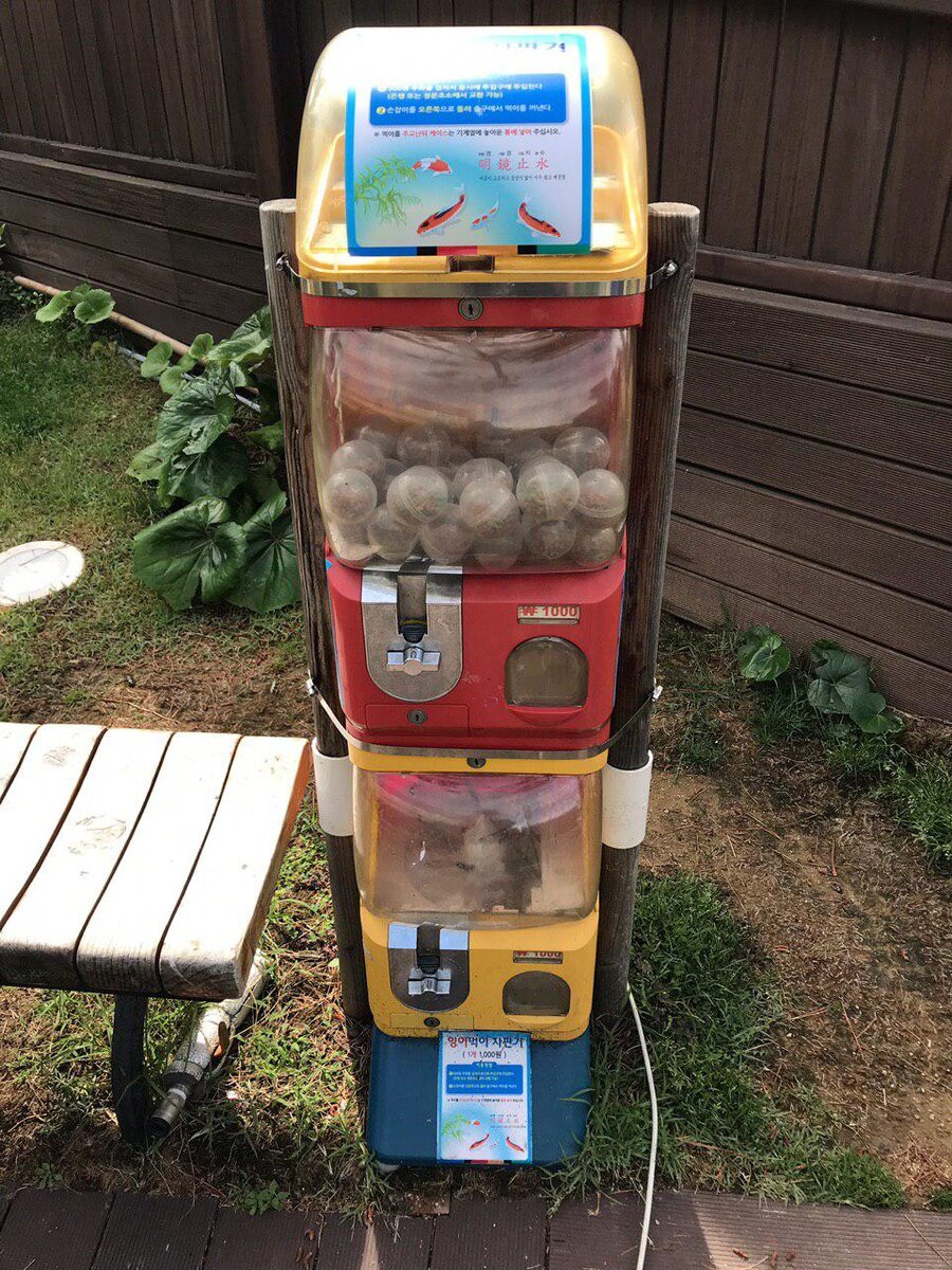 Рыбы тоже должны зарабатывать себе корм