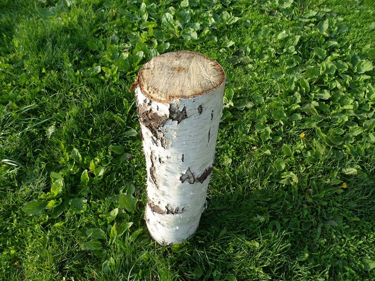 Берёзовый чурбак