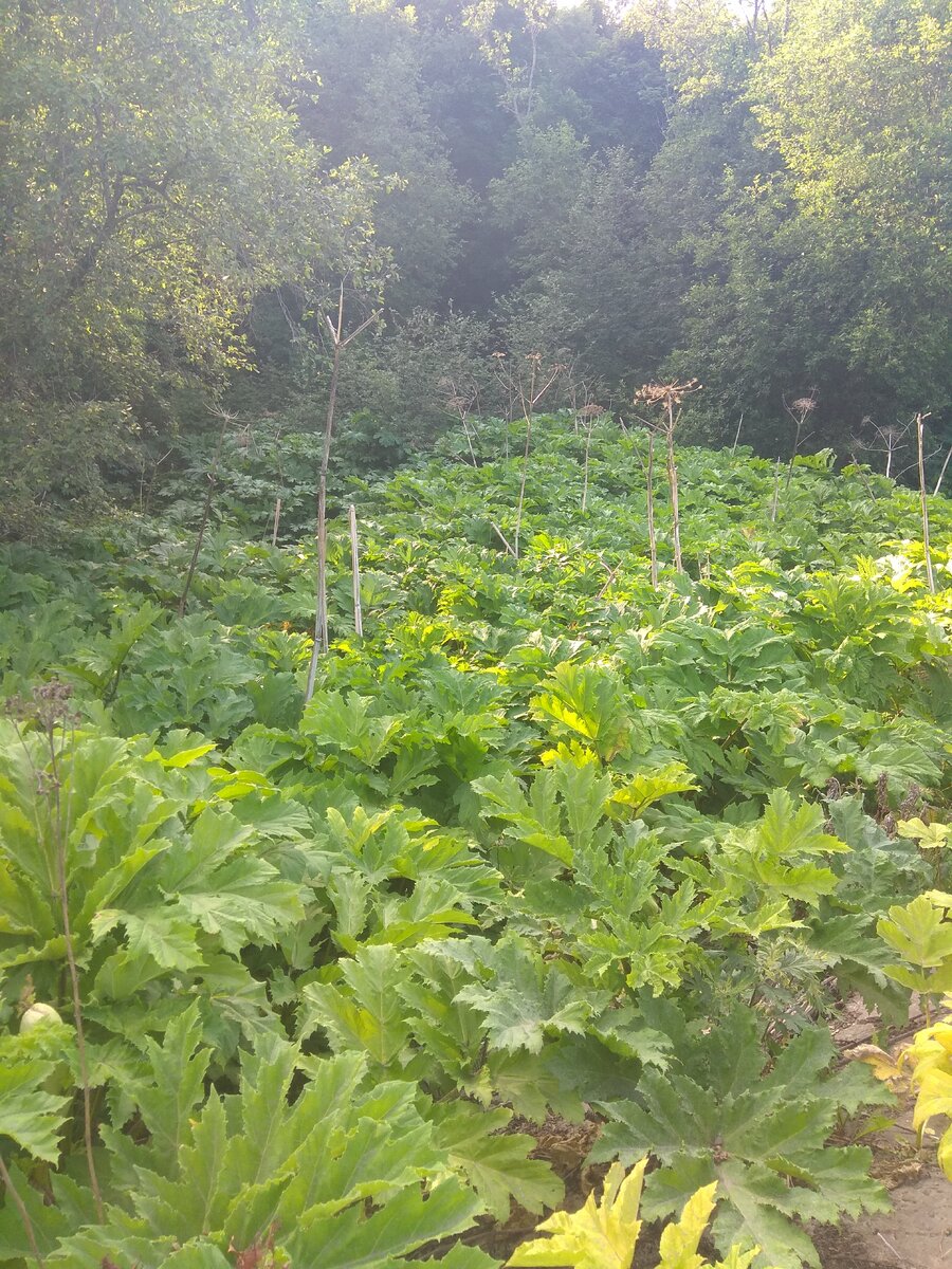 Фото из личного архива автора