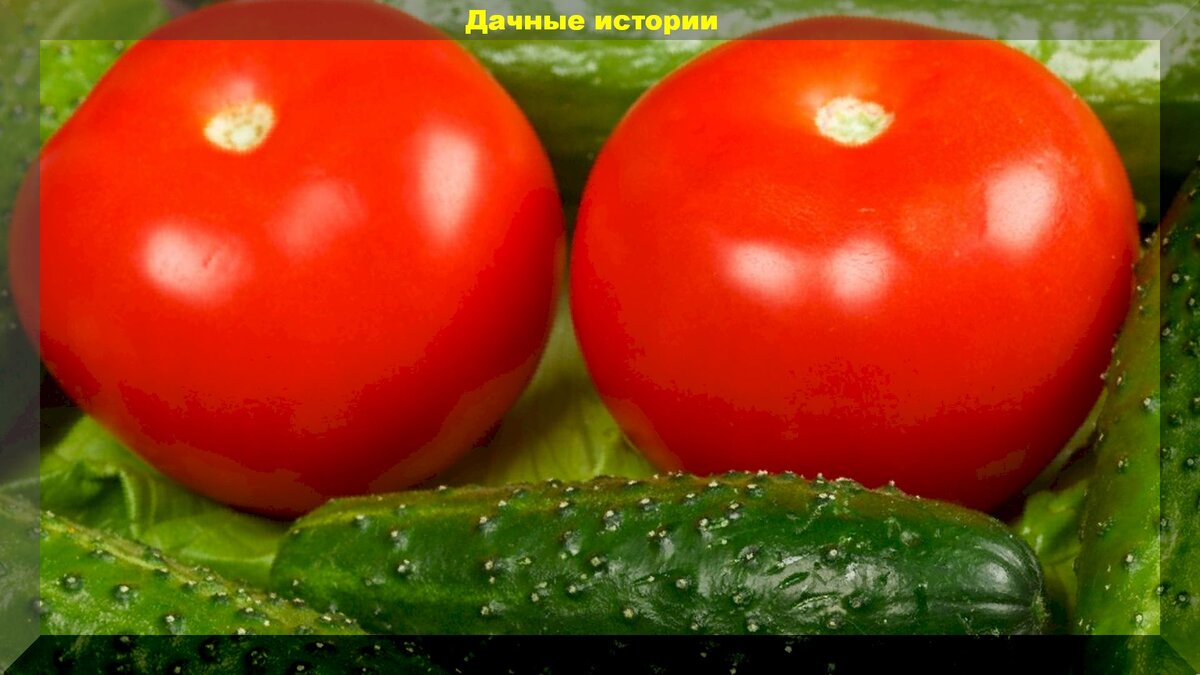 https://vk.com/photo-159774511_456241989 