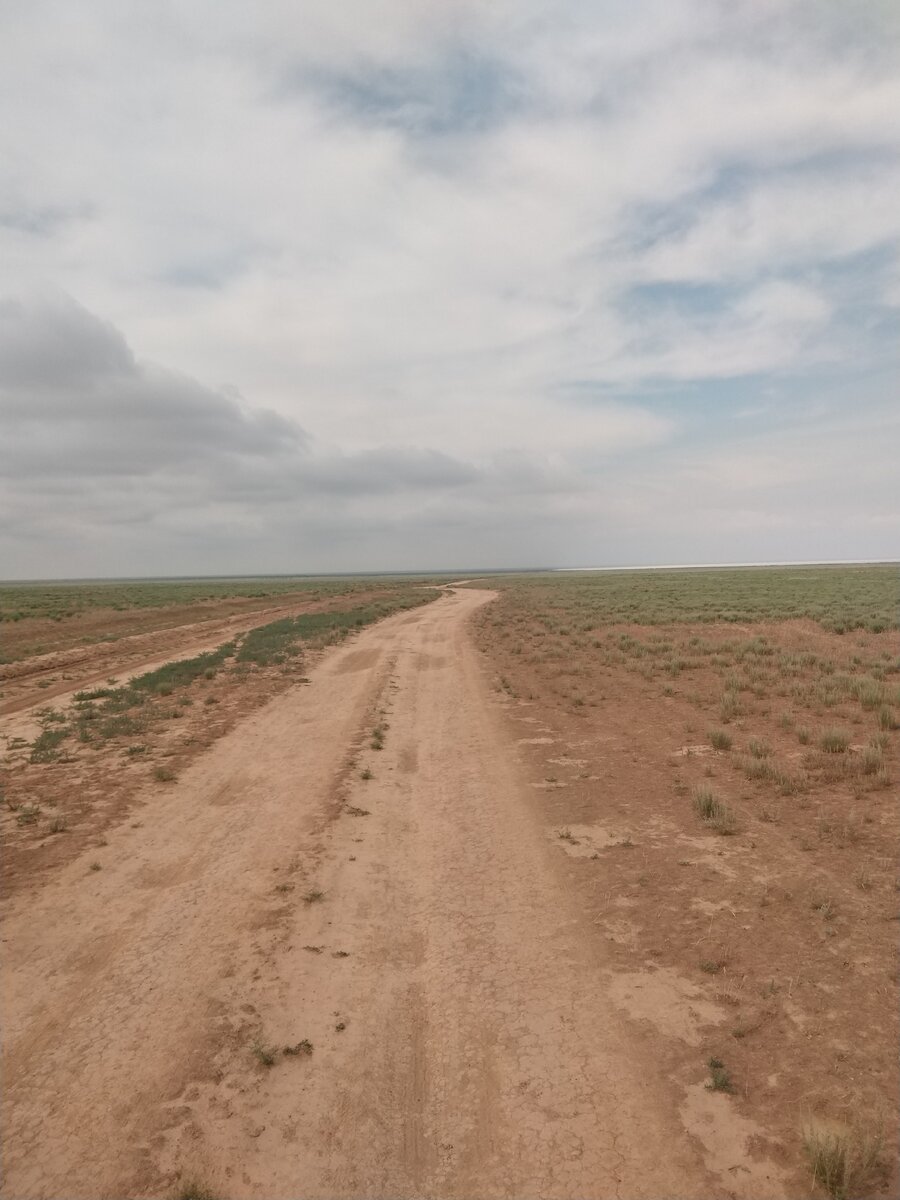 Иногда даже пейзаж располагает к уходу в себя, не предлагая ни единого повода отвлечься