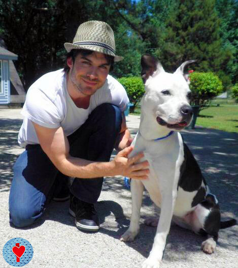 Сразу видно, что он хорошо относится к животным.