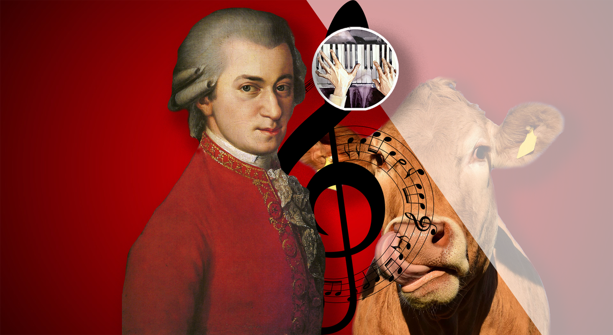                                                  Ставьте лайк и подписывайтесь на канал! 