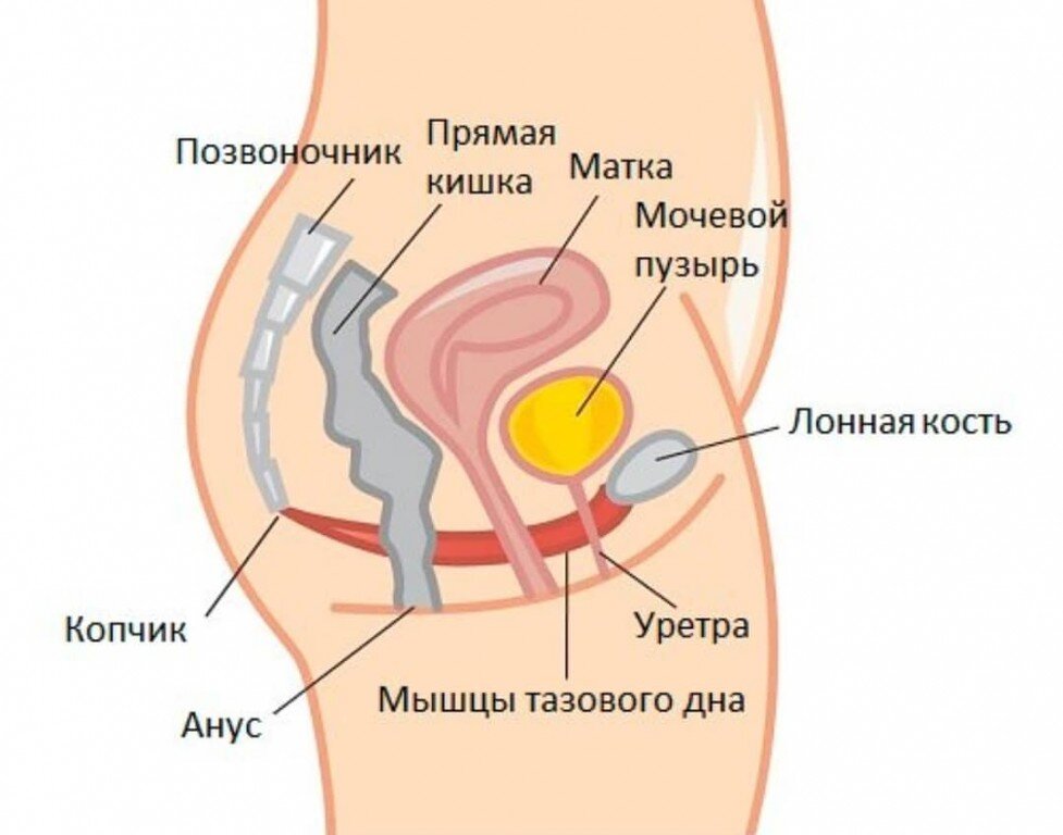 Крепкие интимные мышцы: как их накачать?