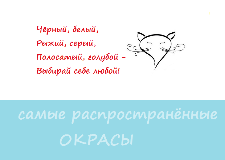 не все окрасы, перечисленные в этом стишке, являются самыми распространёнными