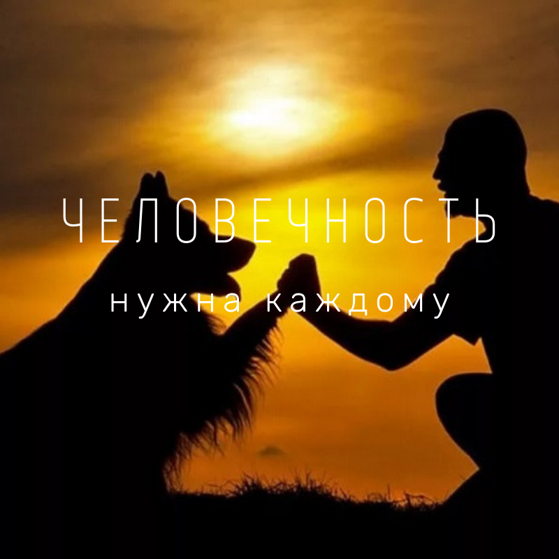 Фото из Яндекс.Картинки