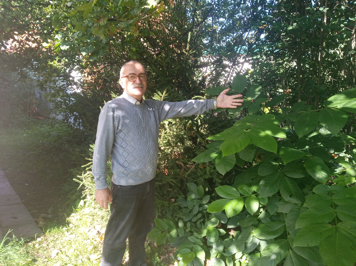 Московская область, с.Комягино